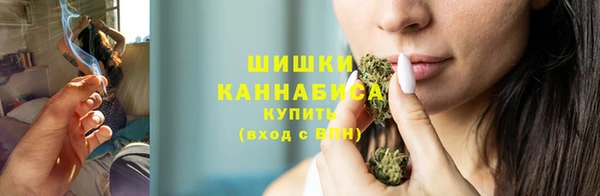 ГАЛЛЮЦИНОГЕННЫЕ ГРИБЫ Белокуриха