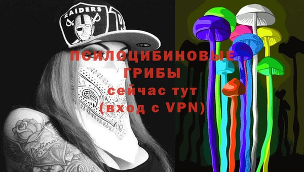 ГАЛЛЮЦИНОГЕННЫЕ ГРИБЫ Белокуриха