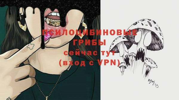 ГАЛЛЮЦИНОГЕННЫЕ ГРИБЫ Белокуриха