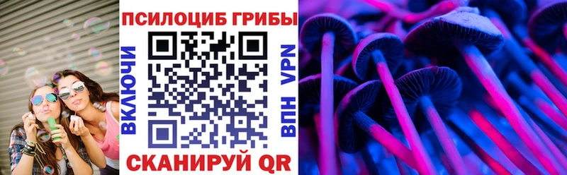 купить   Пионерский  Галлюциногенные грибы Psilocybe 